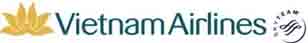 ベトナム航空風ロゴ (イメージ)